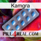 Kamgra viagra3